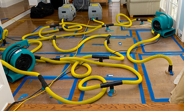 Professional Crawl Space Water Removal technician working in Rush City, MN